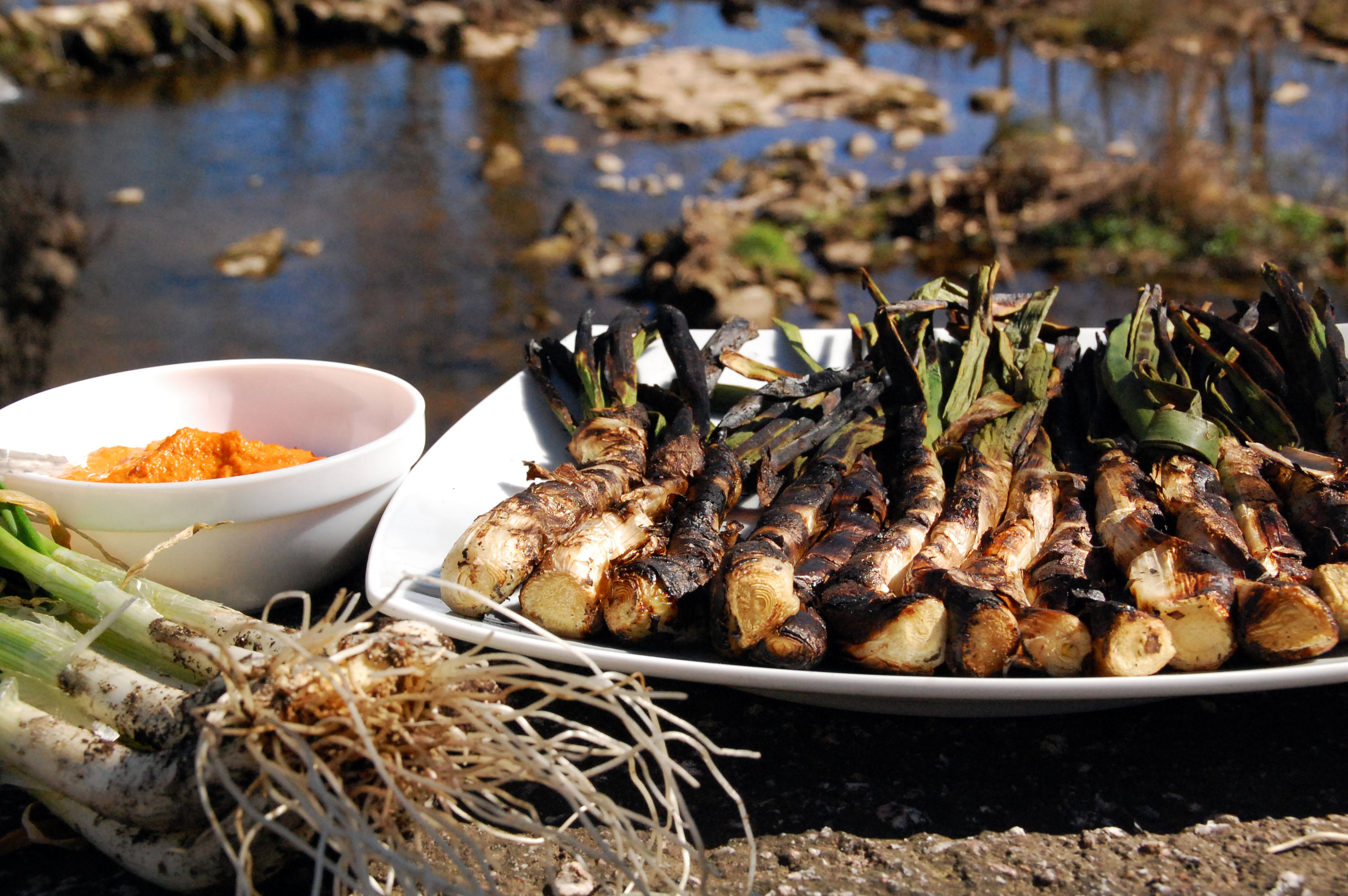 Calços a la brasa amb romesco....jpg