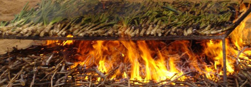 Calçotada2 (2).jpeg