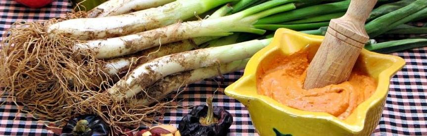 Per Primavera ? Tradilluna i Calçotada&nbsp;!