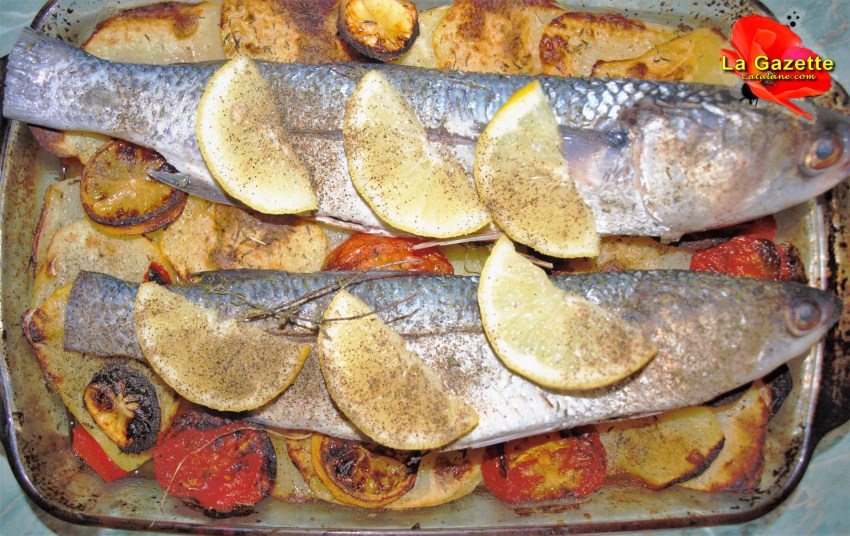 Recette Mulet Au Four Vin Blanc lagazettecatalane.com