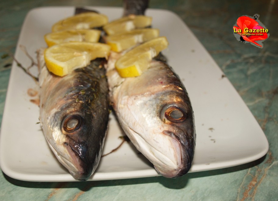 Recette Mulet Au Four Vin Blanc lagazettecatalane.com