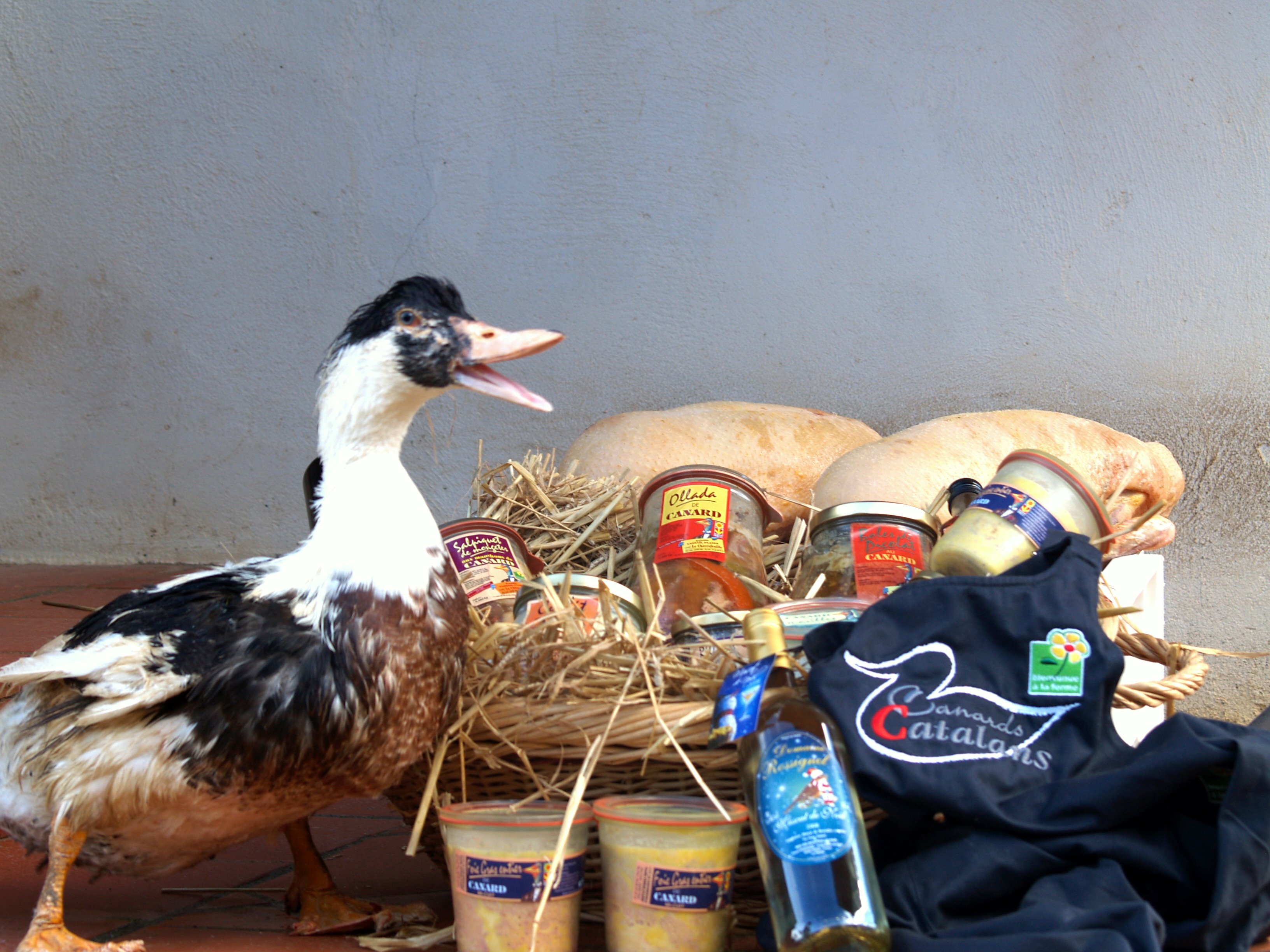 Photo La Gazette Catalane