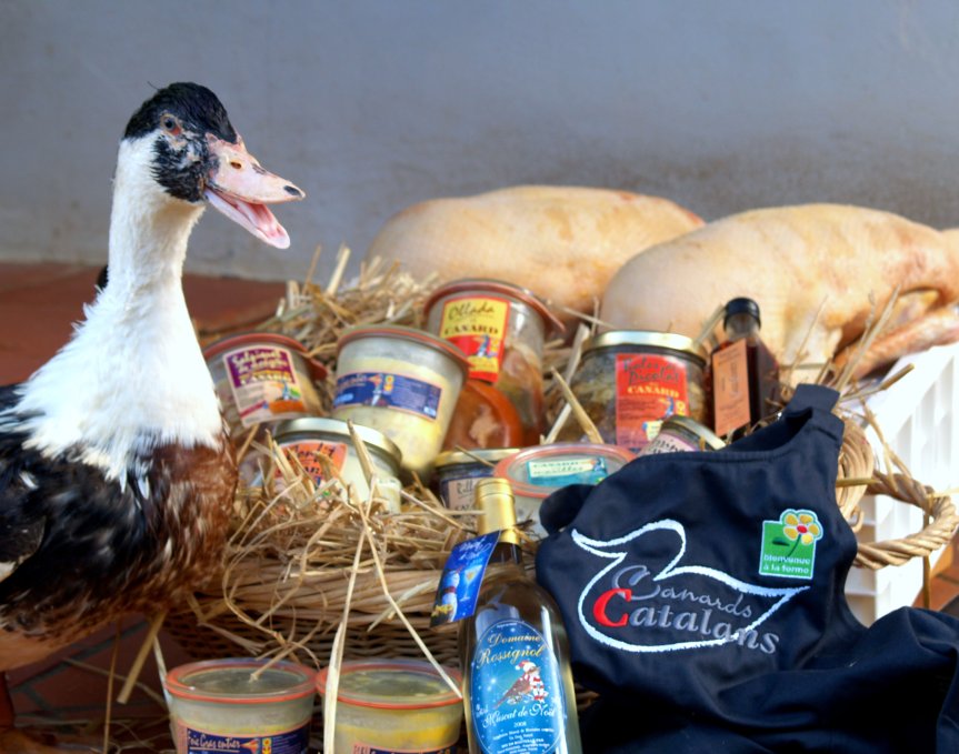 Thuir : Dimanche, c&rsquo;est la Foire au gras&nbsp;!