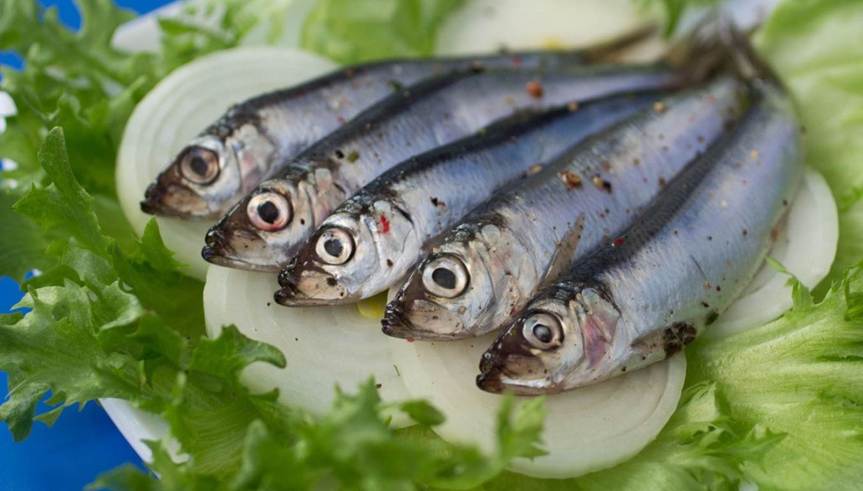 Collioure : Huuummmmm ! Les anxoves de Cotlliure&nbsp;!