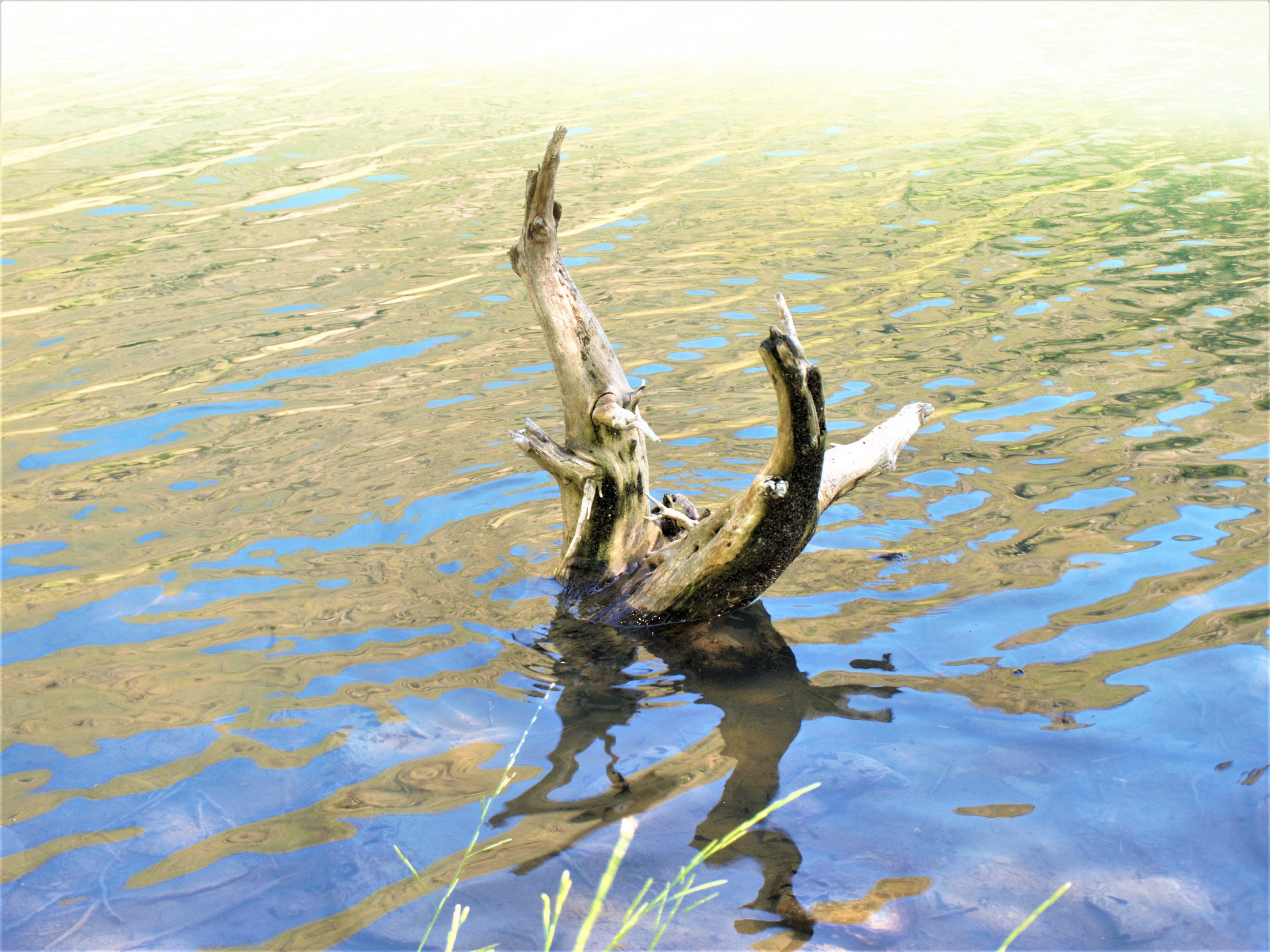 le lac Lanoux photo 6 La Gazette Catalane.jpg