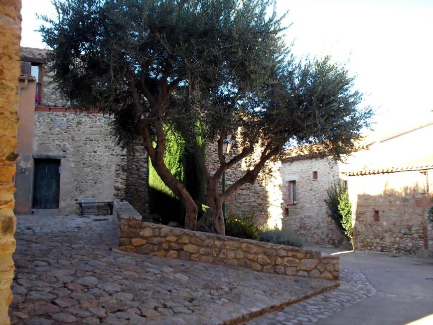 Balade nature dans les Aspres&nbsp;sauvageonnes.