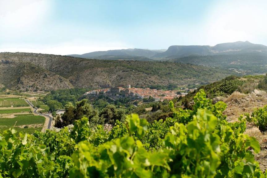Latour de France : Le marché du petit&nbsp;bois