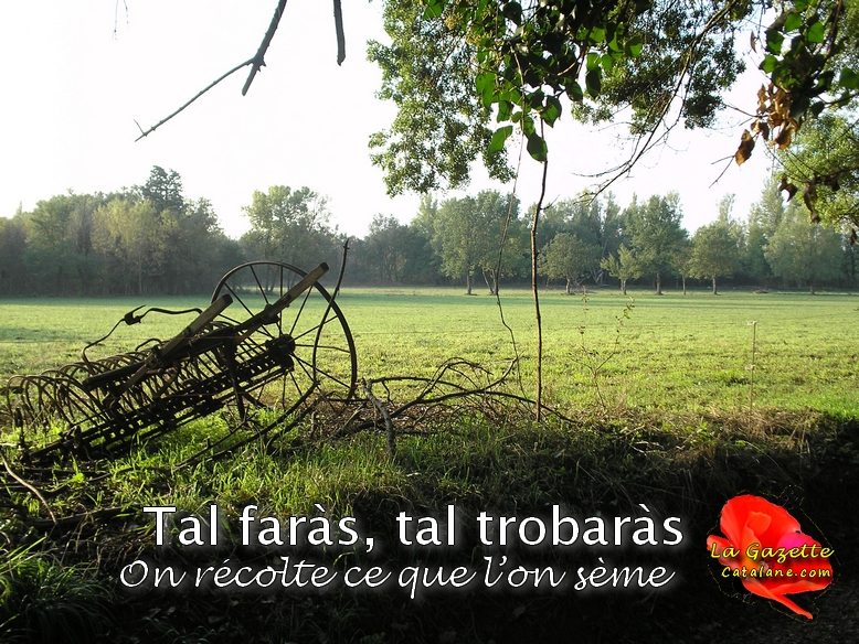 Proverbe du jour(Proverbi&nbsp;d&rsquo;avui)