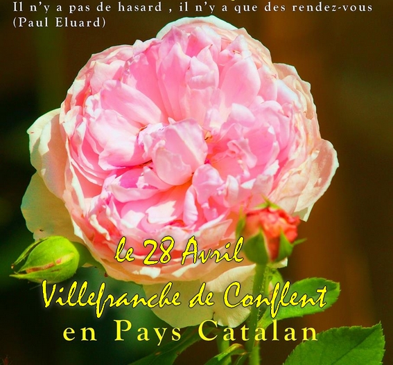 Villefranche de Conflent «Avril au&nbsp;jardin»