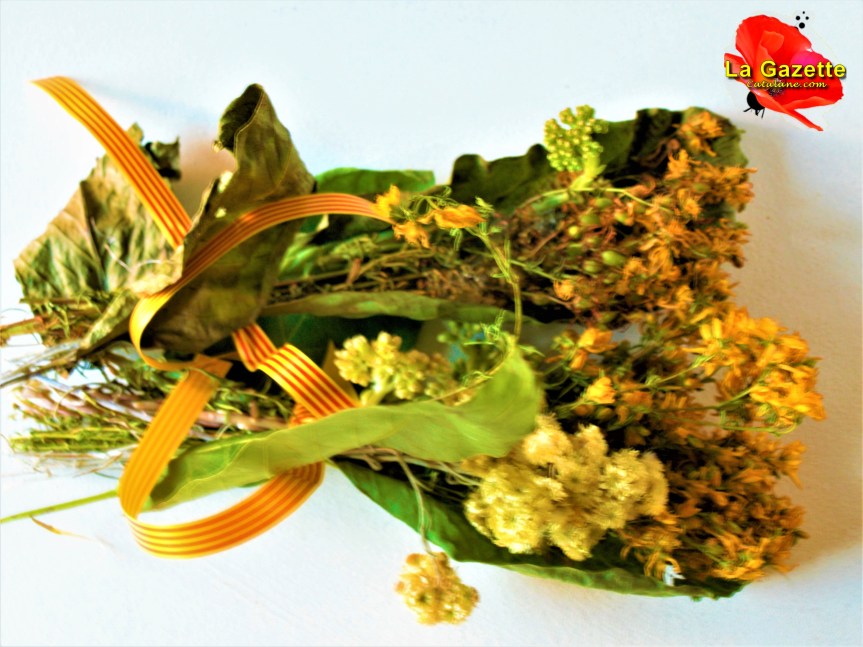 Si la légende des herbes de Sant Joan m&rsquo;était contée&nbsp;?