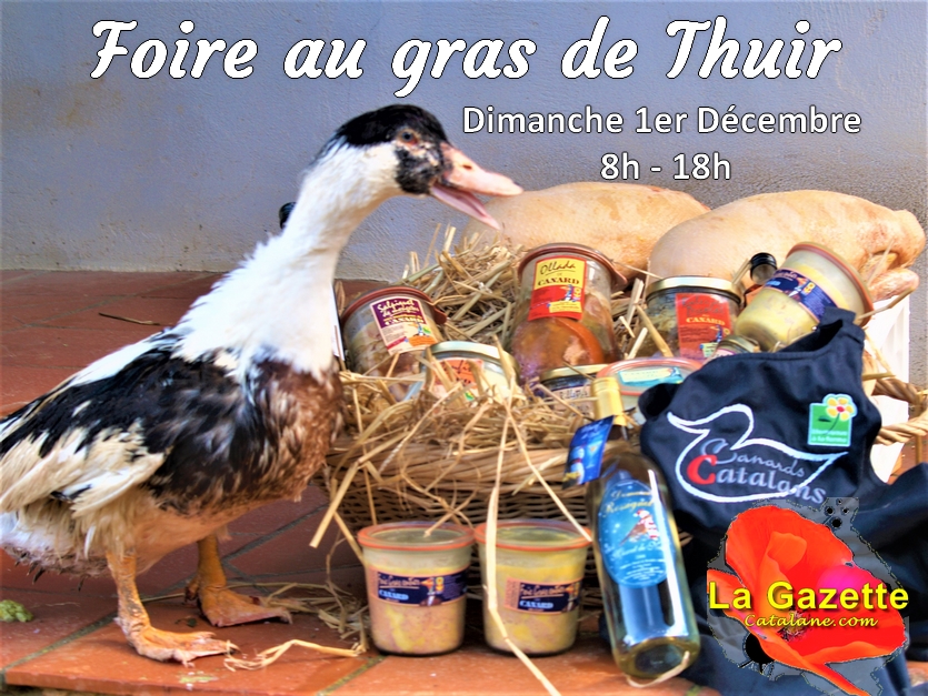 Foire au Gras de Thuir : Tothom à taple&nbsp;!